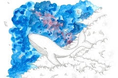  : The Dreamy Whale 