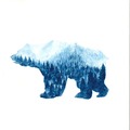  : The Polar Bear (Print)