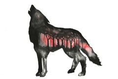  : The Wolf (Print)