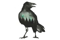  : The Crow (Print)