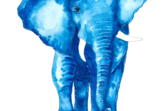  : The Blue Elephant (Print)