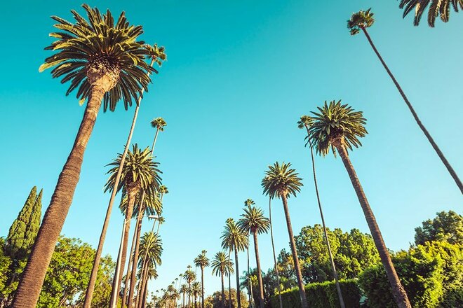 Beverly Hills / West Hollywood CA,  Adjacent Parking  