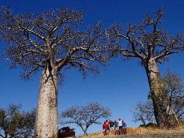 Réserver (avec paiement en ligne): Trek découverte du Makay - Madagascar