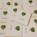  : Lettuce pray