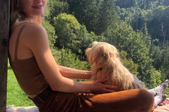 Urlaubsbetreuung: Hundebetreuung mit viel Auslauf und Liebe