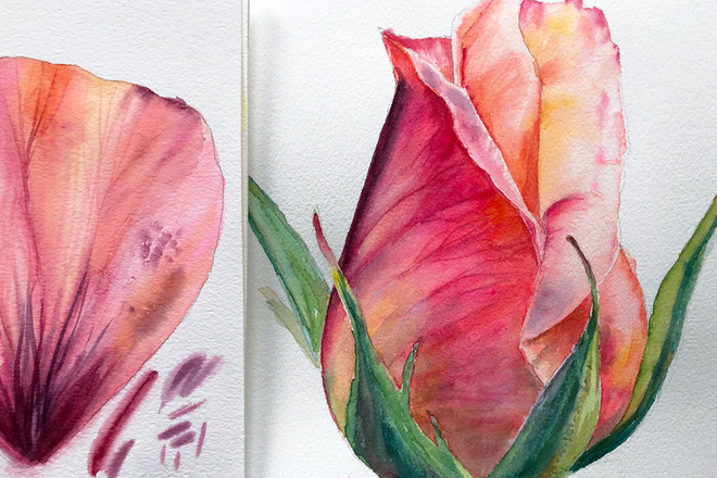 Blumen Malen Mit Aquarell Rosenknospe Tintas Ch