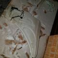 Selling with online payment: 2012 BMW 320i - Radiator Overflow Bottle