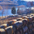Discover: Winery on the River