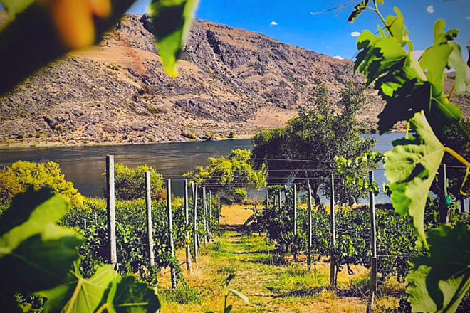 Winery on the River