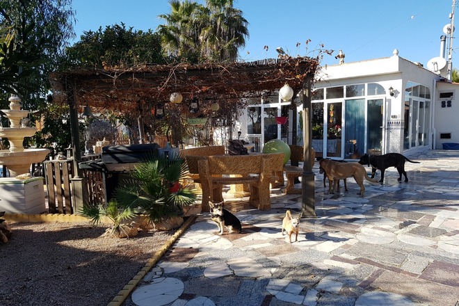 Tauschen Finca Nähe Alicante gegen Haus ca. 100 km Umkreis Köln 