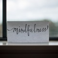 Speakers (Per Hour Pricing): Mindfulness for Health, Happiness and Productivity