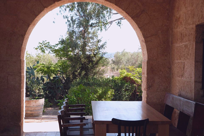 Galilee Wine Tour