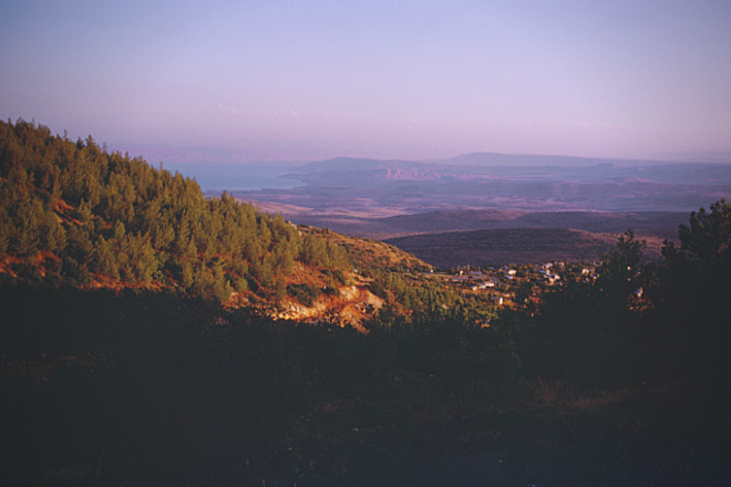Galilee Wine Tour