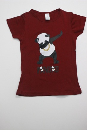 Girls Graphic short sleeve T shirt 7 to 16 Case 60 pcs @1.50 Ea