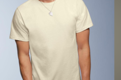 Buy Now: Anvil Natural mens short sleeve t shirt --perfect for printers 