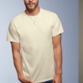 Buy Now: Anvil Natural mens short sleeve t shirt --perfect for printers 