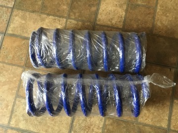 Selling with online payment: 99-04 Mustang Lowering Springs