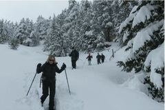 Réserver (avec paiement en ligne): Snowshoeing in the Pirin and Belassitsa - Bulgaria