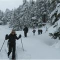 Réserver (avec paiement en ligne): Snowshoeing in the Pirin and Belassitsa - Bulgaria