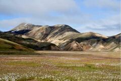 Réserver (avec paiement en ligne): Laugavegur Trek - Iceland