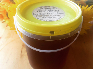Selling with online payment: Pure Honey - Cold Filtered - 2kg bucket tub