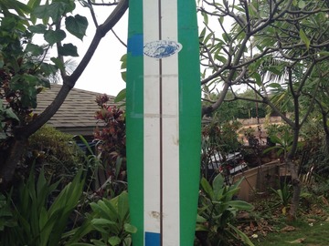 For Rent: 10'2 Softtop Sunset longboard 