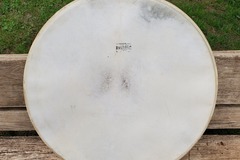 Selling with online payment: Radio King 22" calf skin drum head  $100 or best offer