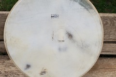 Selling with online payment: Radio King 22" calf skin drum head $100 or best offer