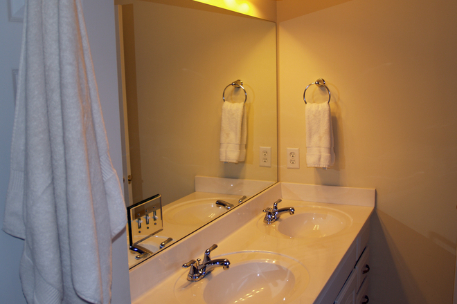 251 Furnished Master Bedroom Suite to Rent
