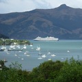Book on LiveLocal or Other Platforms: Daisy Hill Cottage in beautiful Akaroa