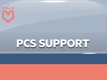 Service: HHG Pack Out/Delivery Assistance