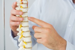 Services (Per Hour Pricing): Chiropractic Services