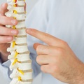Services (Per Hour Pricing): Chiropractic Services