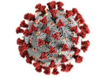 10 Dakika Deneme Video Görüşme: Advice on the coronavirus pandemic  regarding your trip