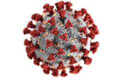 10 minutos Videollamada de prueba: Advice on the coronavirus pandemic  regarding your trip