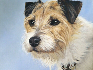 Contact for Info: Portraits to celebrate love