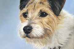 Contact for Info: Portraits to celebrate love