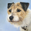 Contact for Info: Portraits to celebrate love