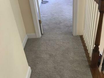 Offering Services: 251 Carpet Replacement Quote 100000114642090071