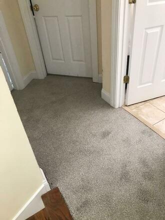 251 Carpet Replacement Quote 100000114642090071