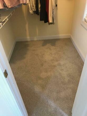 251 Carpet Replacement Quote 100000114642090071
