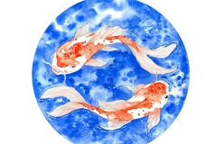  : Red Koi Fish