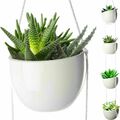 Buy Now: (10 Set) 4 Tier Plant Hanging Holder Ceramic Planters Herb Garden