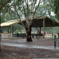 Walk-in: By the Yarra River, workshop in the woods for up to 10 people