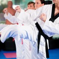 Online Payment - 1 on 1: Tae Kwon Do