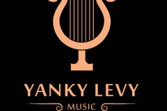Accept Deposits Online: Yanky Levy