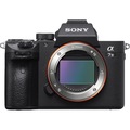 Renting out with online payment: Sony Alpha a7 III