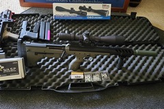 Selling: SrS Silverback 16" Covert (fully modded)
