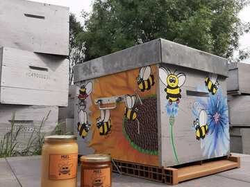 Les miels : Miel des Mauges et de Vendée