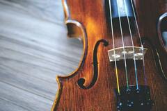 Online Payment - 1 on 1: The Art of Playing the Violin